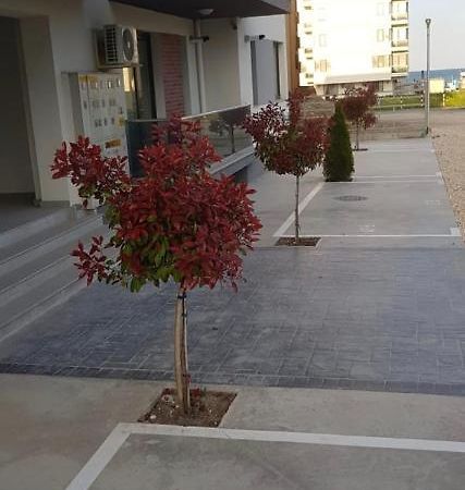 Mamaia Nord Apartament 18 Năvodari المظهر الخارجي الصورة